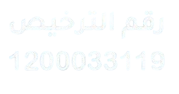 Partner Logo 2
